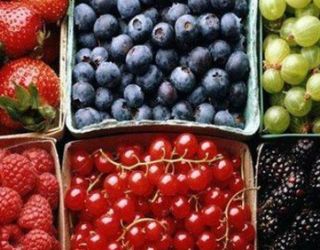 На шляху до споживача в Україні втрачається близько 65% плодово-ягідної продукції